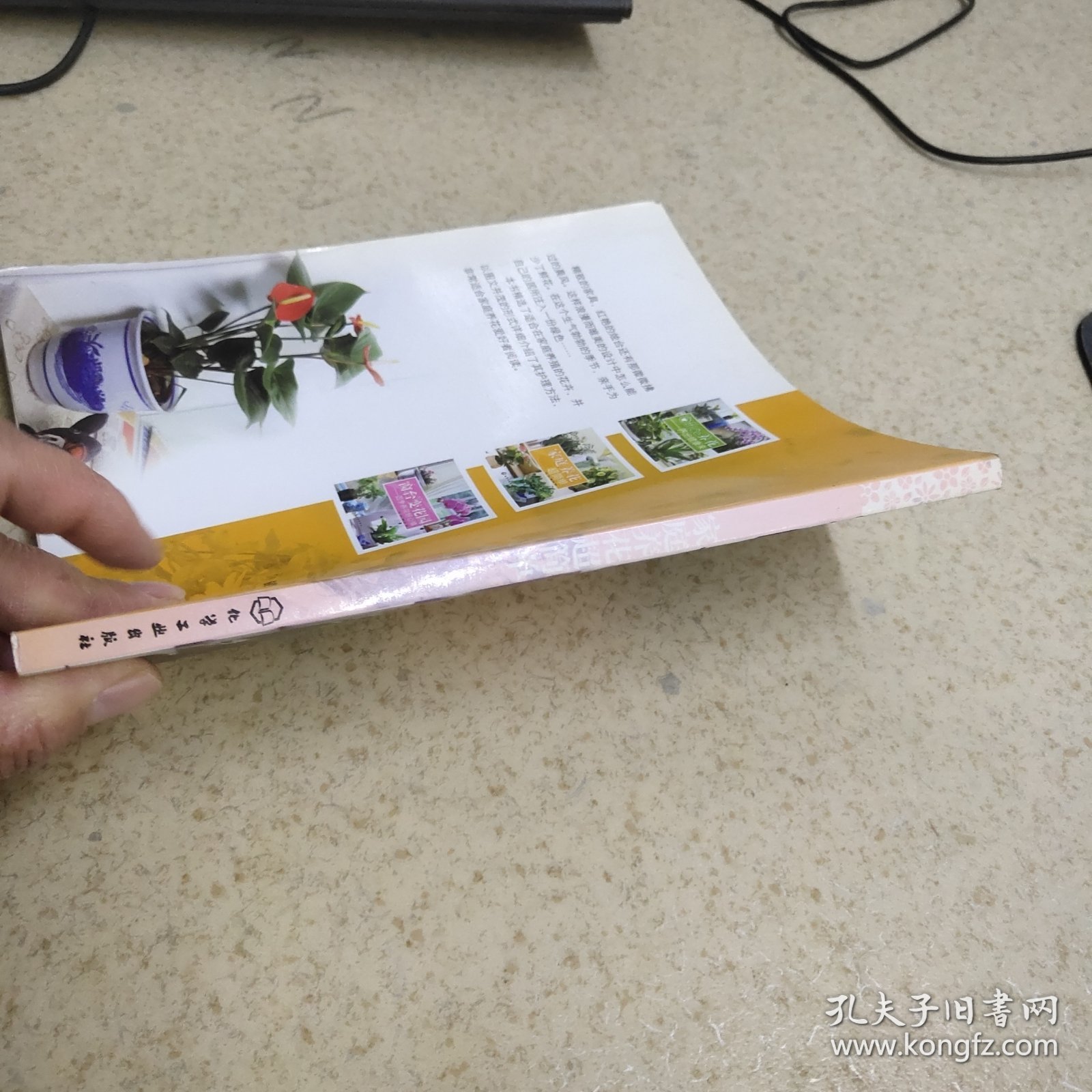 家庭养花超简单