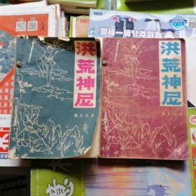 武侠小说：洪荒神尼～上下2本合售（品相以图片为准）近九品