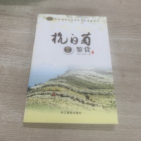 杭白菊鉴赏
