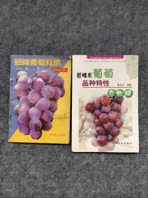 巨峰系葡萄品种特性与栽培 巨峰葡萄栽培