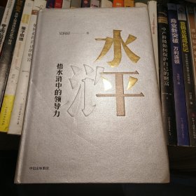 水平：悟水浒中的领导力