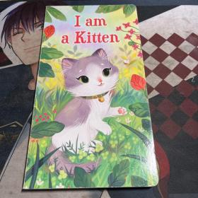 I am a Kitten我是一只小猫I am a bunny兔子系列单品纸板书启蒙儿童0-3-6岁早教学习英语亲子互动阅读睡前故事