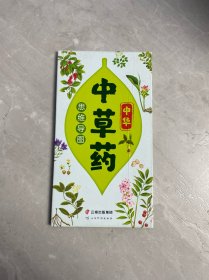 中华中草药思维导图