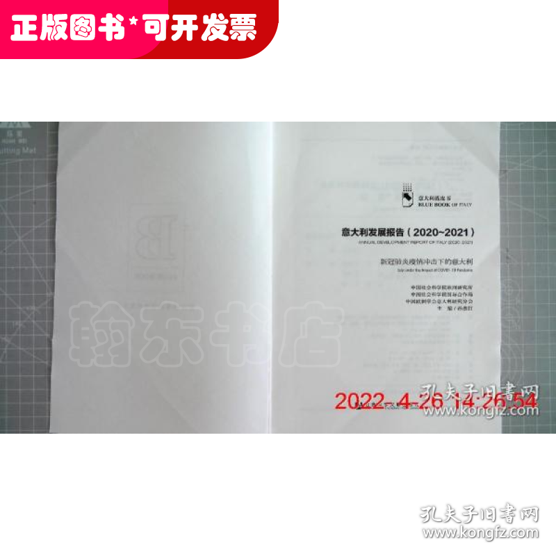 意大利发展报告