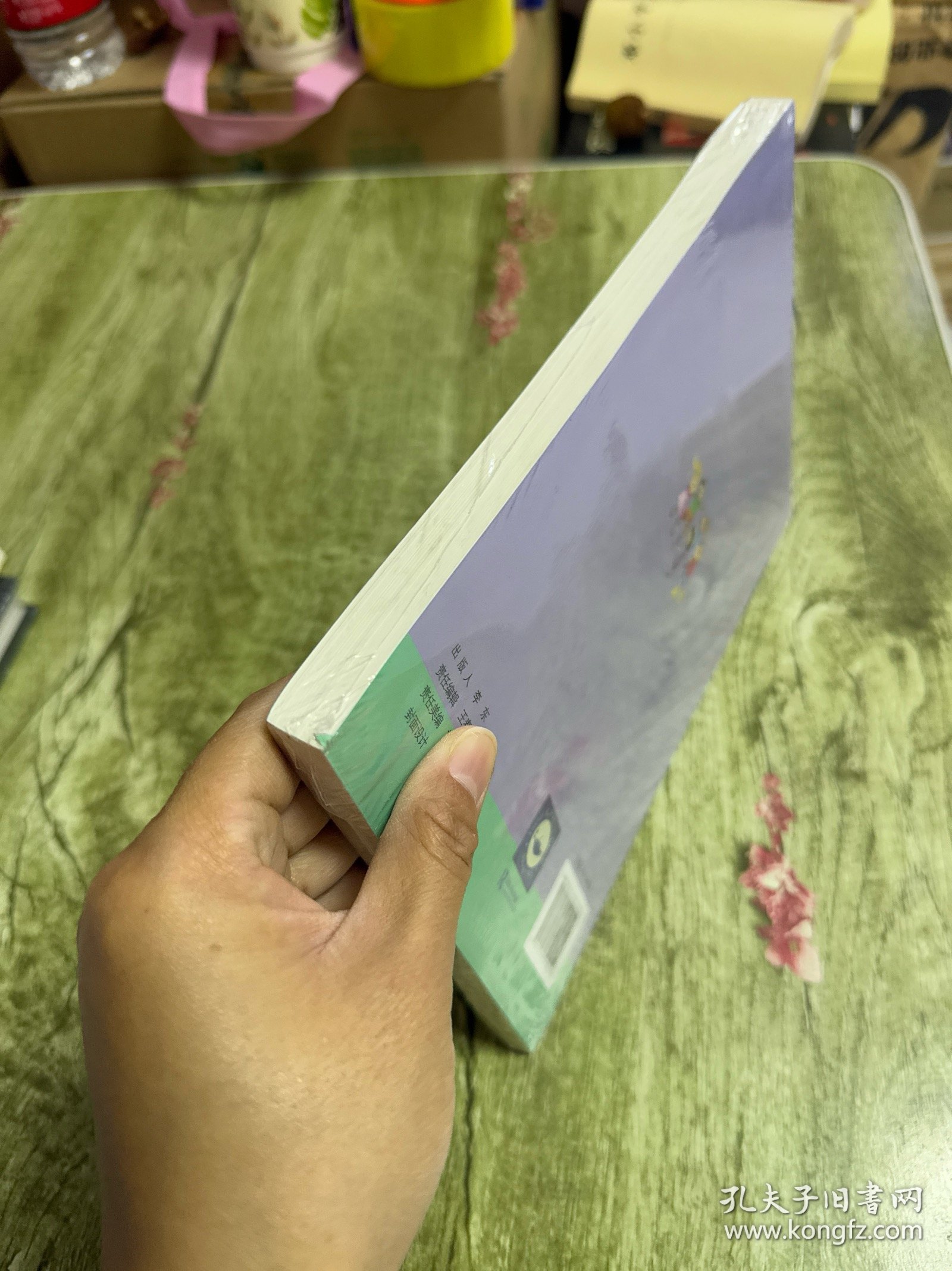 幼儿社会性发展课程