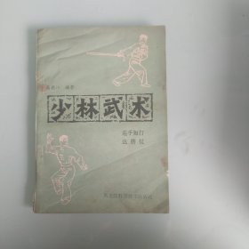 少林武术一连手短打，达磨杖
