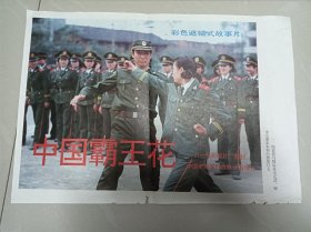 电影海报：中国霸王花，单照8幅全
