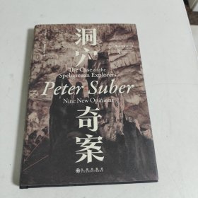 洞穴奇案 法哲学专业领域寓言式的经典文献，优秀跨学科通识教育的理想读本