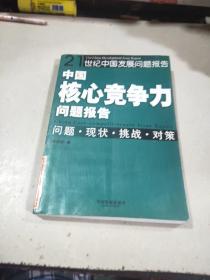 中國核心競爭力問題報告——21世紀中國發(fā)展問題報告