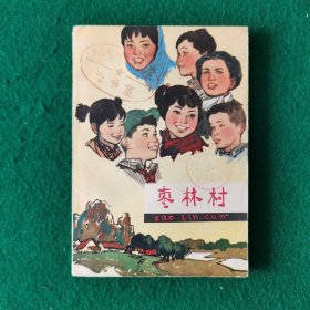 枣林村（长篇小说）（农村题材）