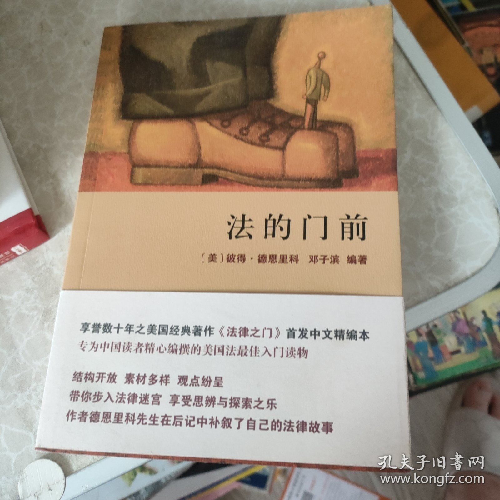 法的门前：经典著作《法律之门》中文精编本