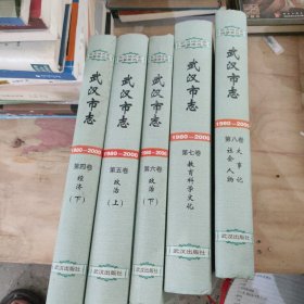 武汉市志:1980-2000 缺失1-3 (4.5.6.7.8)5本合售