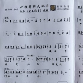 此恨绵绵天地间《东吴郡主》张怡凰 潮剧曲谱 广东省百花潮剧院一团二团专业名家潮剧团 潮汕潮剧唱段大全剧本简谱