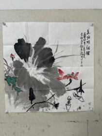 【终身保真字画，得自画家本人】张韵（运）   68X68cm起拍价400
1973年生于河北省南宫市，毕业河北师范大学美术系，现任教于河北南宫中学、河北省美术家协会会员、河北省青年美术家协会理事、河北省美术教育学会理事、河北省水彩粉画学会委员、北京市工笔重彩画会会员、邢台市美术家协会理事，南宫市美术家家协会主席、南宫市工笔画学会名誉会长 、南宫市第八届、第 九届政协委员、第十届政协常委