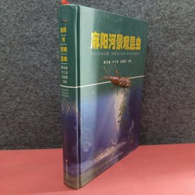 麻阳河景观昆虫