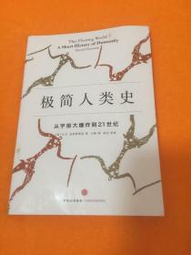 极简人类史：从宇宙大爆炸到21世纪