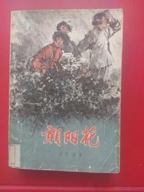 朝阳花。1961年