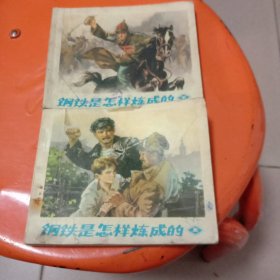 钢铁是怎样炼成的 （上下）