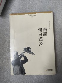 路遥何日还乡/小说眼看中国丛书