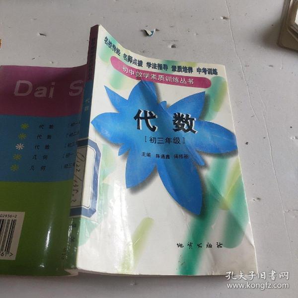 初中数学素质训练丛书代数初三年级