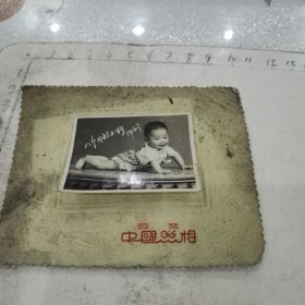 八个月小朋友照/底板7.3/9.8cm