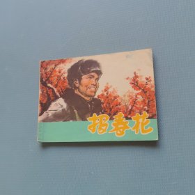 报春花 （一版一印）（货bzs）