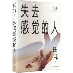 失去感觉的人 中国现当代文学 田耳