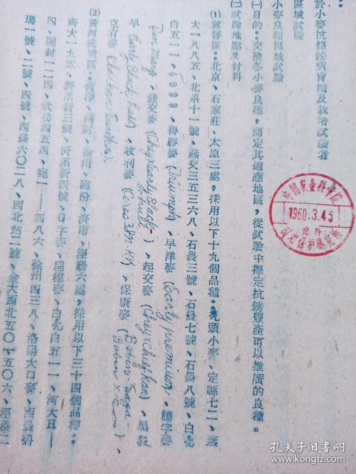 中国农业科学院 农业化学研究所  1960年关于小麦抗条锈病育种及栽培试验    油印资料