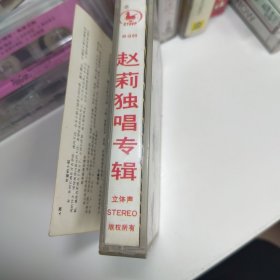 赵莉 我怎能把你遗忘