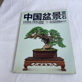 中国盆景赏石 2016菲律宾黑剪刀国家展专辑 品相见图