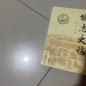 皖志史稿