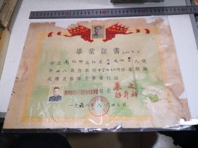 1962年苏州市机关干部业余文化学校毕业证书35-27㎝，带毛主席像，有折痕处断裂，详见图片。