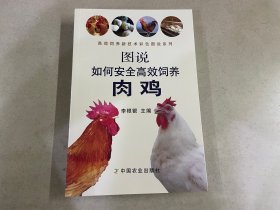 图说如何安全高效饲养肉鸡