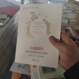 山海协作：促进区域协调发展的有效载体