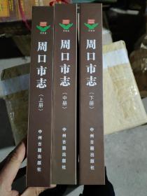 周口市志(1991-2005)(中册)