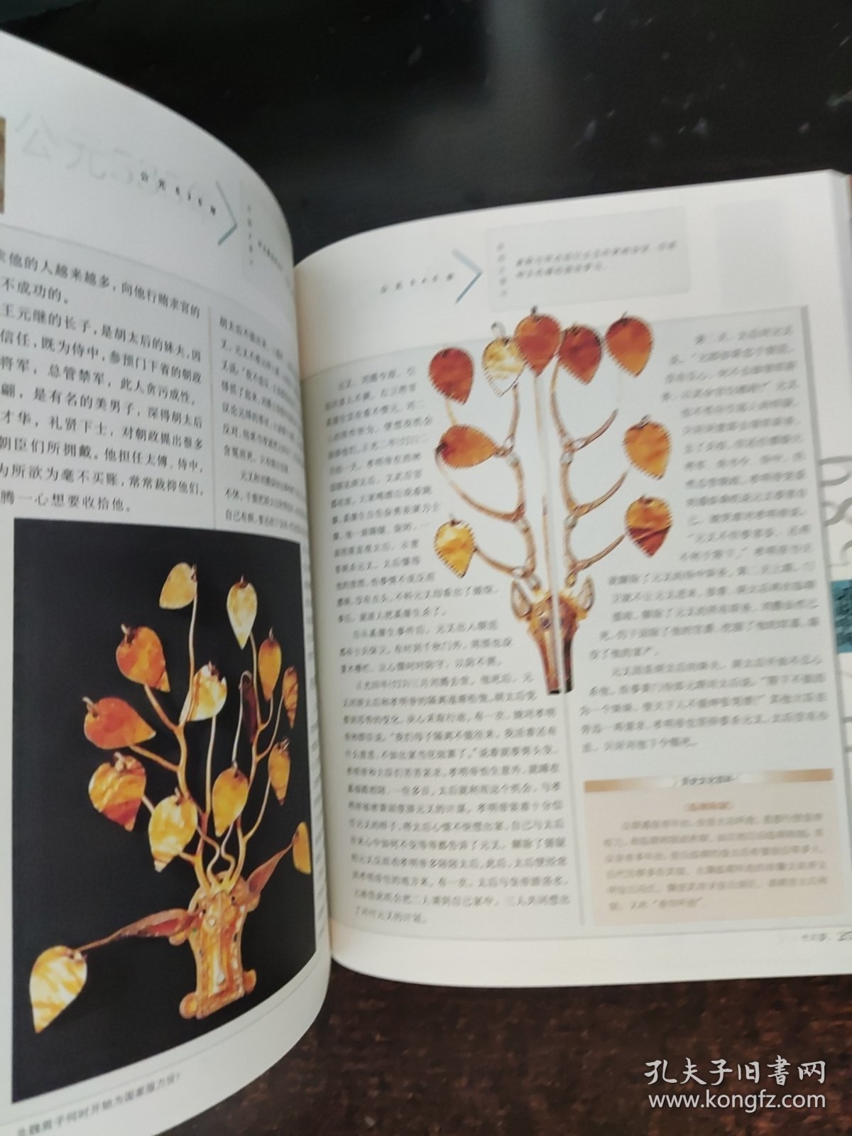 空前的融合：公元317年至公元589年的中国故事.东晋南北朝