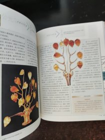 空前的融合：公元317年至公元589年的中国故事.东晋南北朝