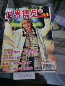 世界博览2002年第11期