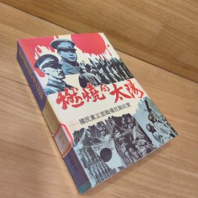 燃烧的太阳：国民党正面战场抗战纪实