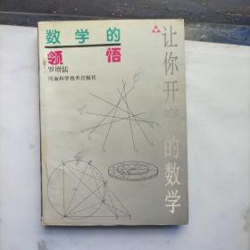 数学的领悟：让你开窍的数学 正版书