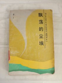 飘荡的尘埃