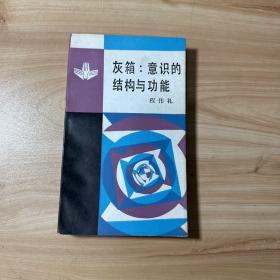 灰箱:意识的结构与功能