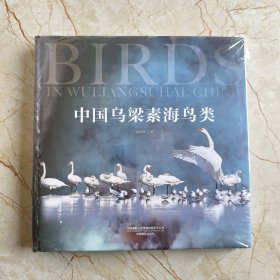 中国乌梁素海鸟类