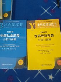 【社会蓝皮书：2022年中国社会形势分析与预测】【世界经济黄皮书：2022年世界经济形势分析与预测】两册合售  全新未拆封