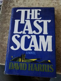 THE LAST SCAM ANOVEL【外文版 请看图】