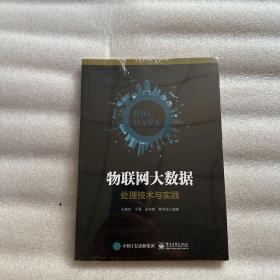物联网大数据处理技术与实践