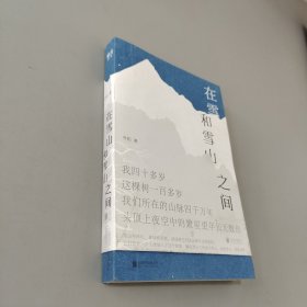 在雪山和雪山之间