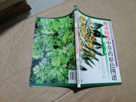 蛇虫咬伤中草药原色图谱