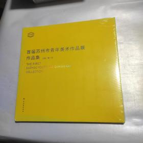 首届苏州市青年美术作品展作品集  未拆封新