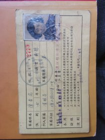 老证件 1956年提篮桥区工厂联合第二劳工保健站家属诊病证（带老照片）